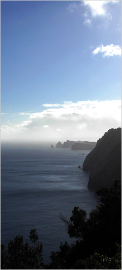 Herzlich Willkommen auf Madeira - Hier finden Sie atraktive Angebote an Hotels , Ferienh&auml;usern, Apartments, Fl&uuml;ge, Mietwagen etc
