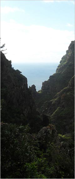 Herzlich Willkommen auf Madeira - Hier finden Sie atraktive Angebote an Hotels , Ferienh&auml;usern, Apartments, Fl&uuml;ge, Mietwagen etc